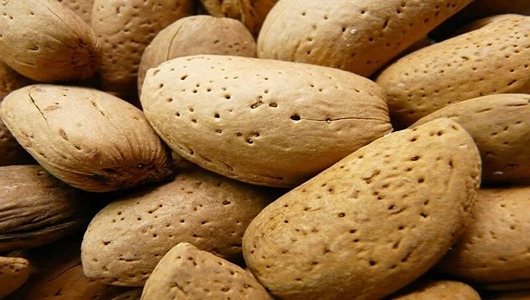 قیمت خرید بادام سنگی + عمده مناسب
